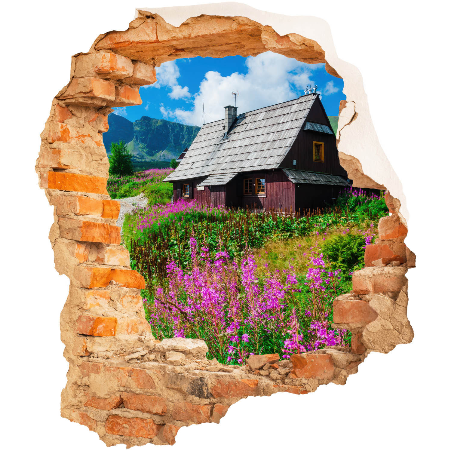 Naklejka wyrwa w ścianie rustykalny widok dziura 3D 68x80