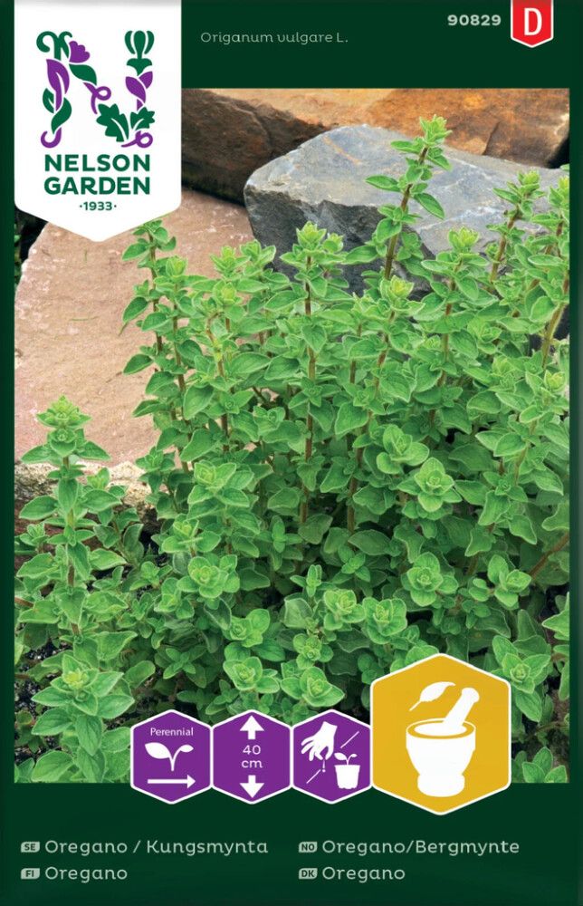 KRYDDERURTER NELSON GARDEN BERGMYNTE/OREGANO