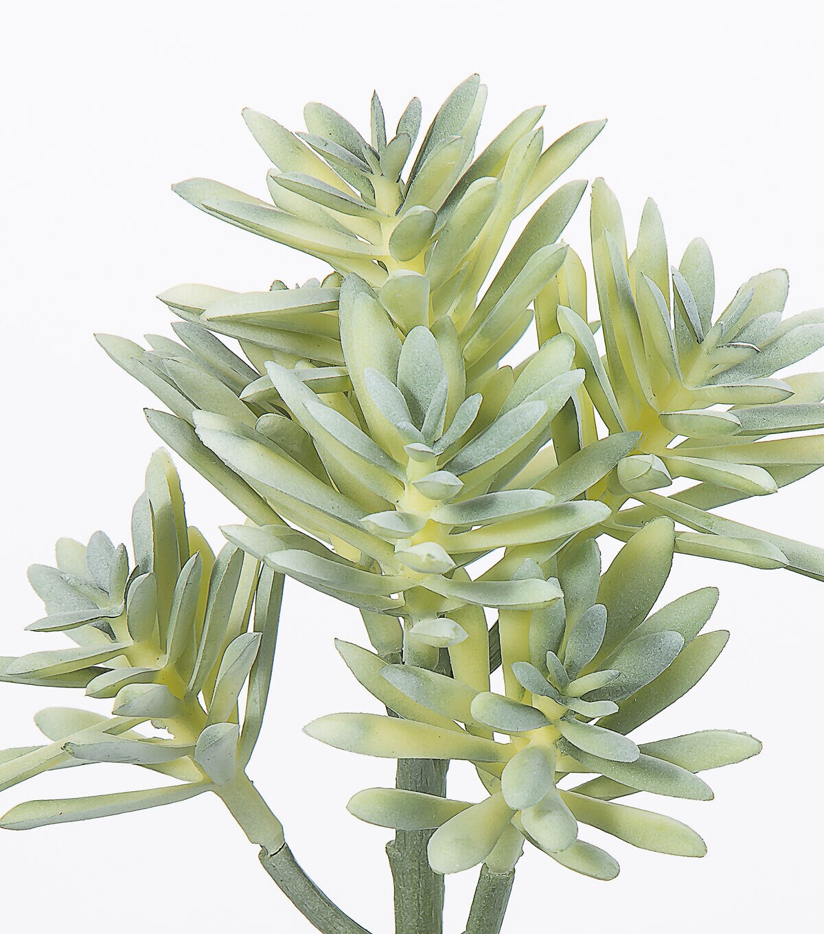 8 Jade Pick by Bloom Room