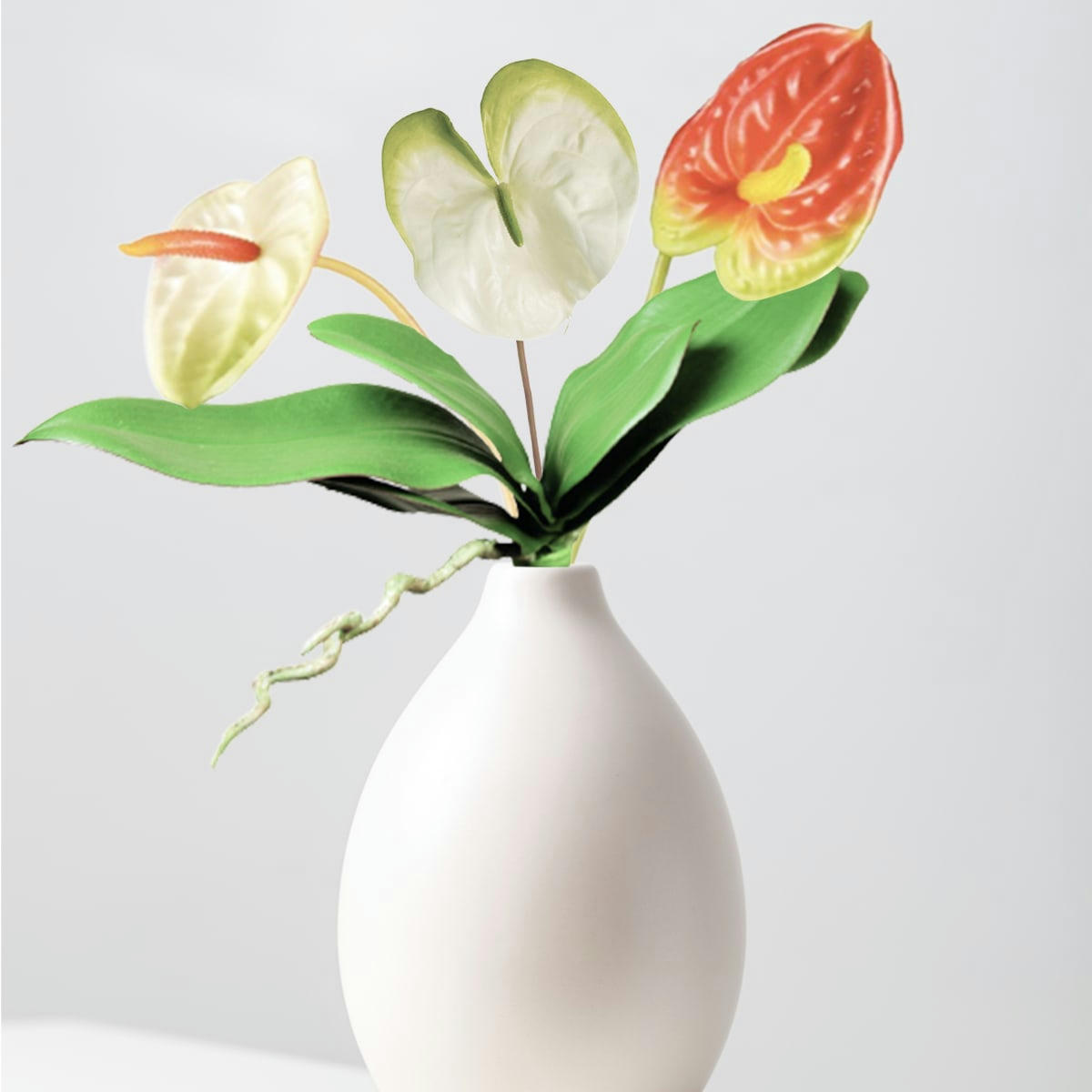 - Anthurium artificiel Vera