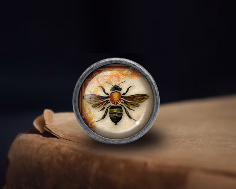 Bee Knobs Drawer Knobs Pulls Kitchen Cabinet Pulls Handle Furniture handle Exquisite Dresser Knobs Door Knob Decor Furniture Hardware