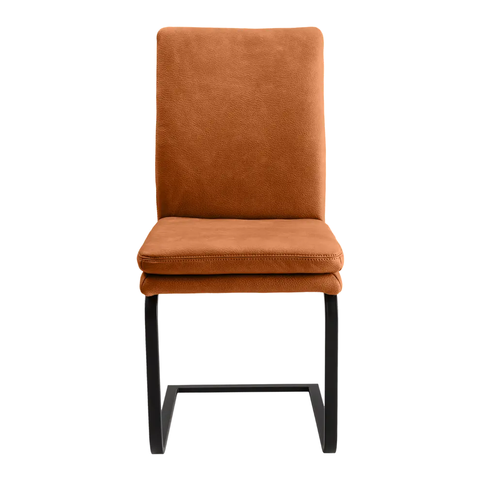Freischwinger Maine Ds11