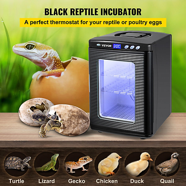 Incubateur automatique à température constante, idéal pour les œufs de reptiles et d'amphibiens.