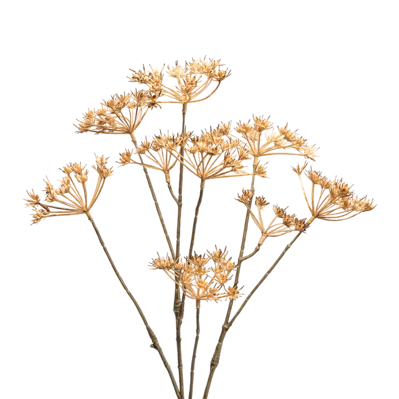 Dekozweig Dried-Grass