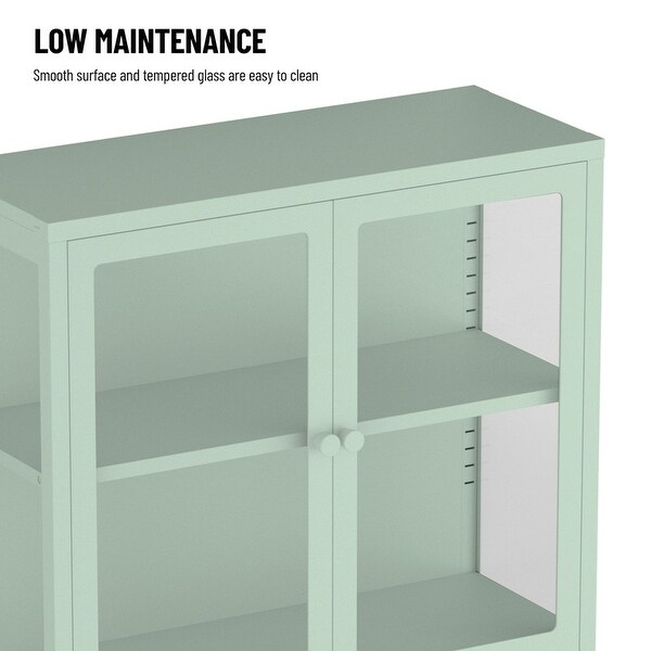 Double Glass Door Storage Cabinet with Adjustable Shelves