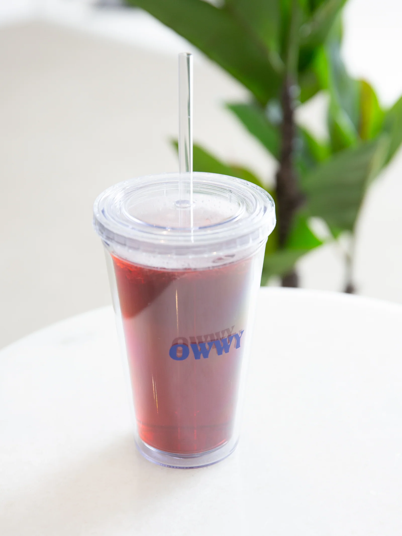 OWWY Reusable Iced Drink Tumbler & Straw