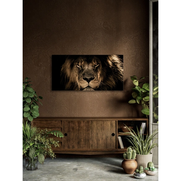 Keilrahmenbild, ca.50x100 cm, Motiv: 501943