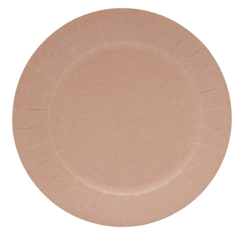 Lot de 10 assiettes en carton Ø18cm rose