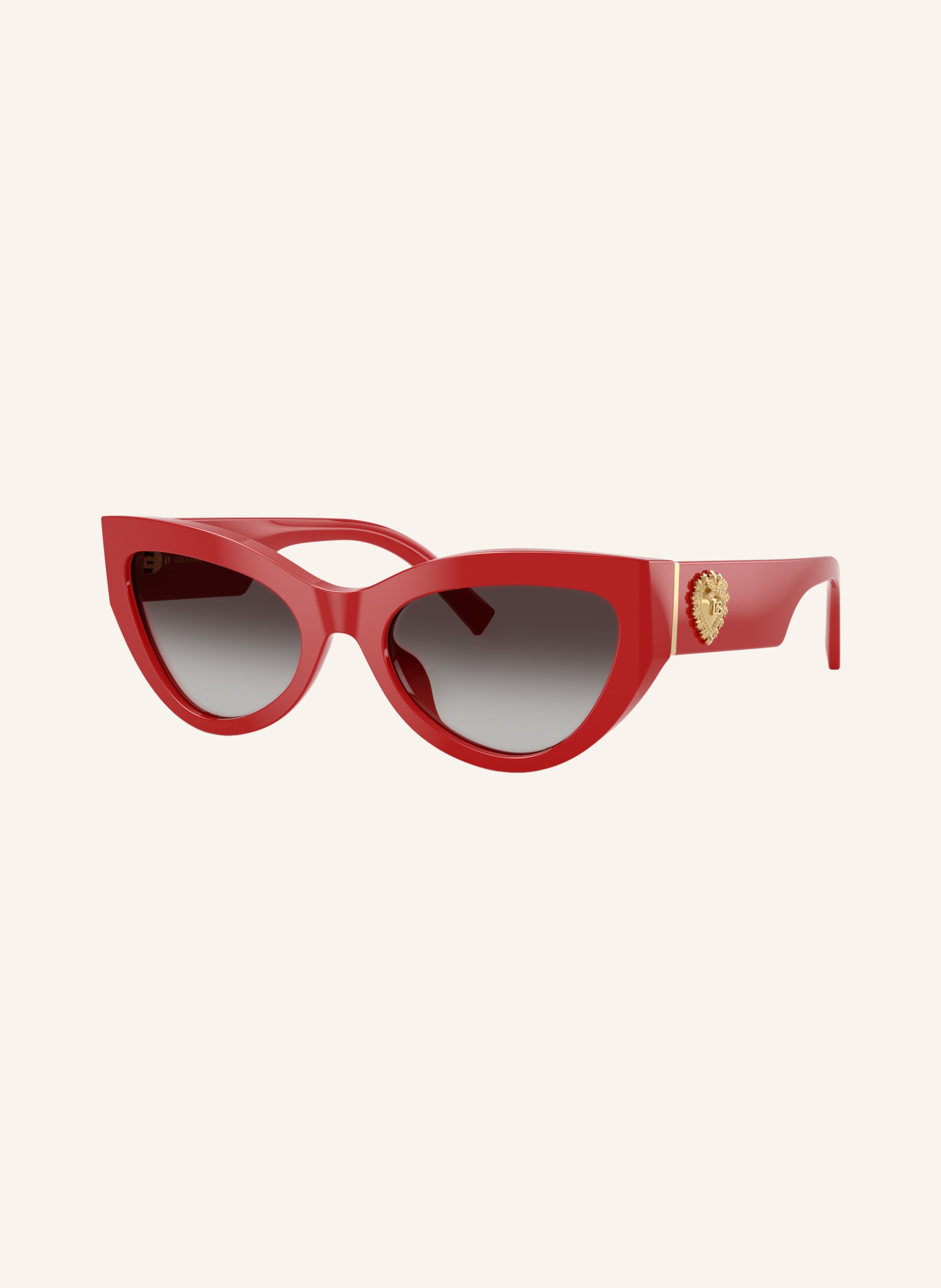 DOLCE & GABBANA Sonnenbrille DG4536