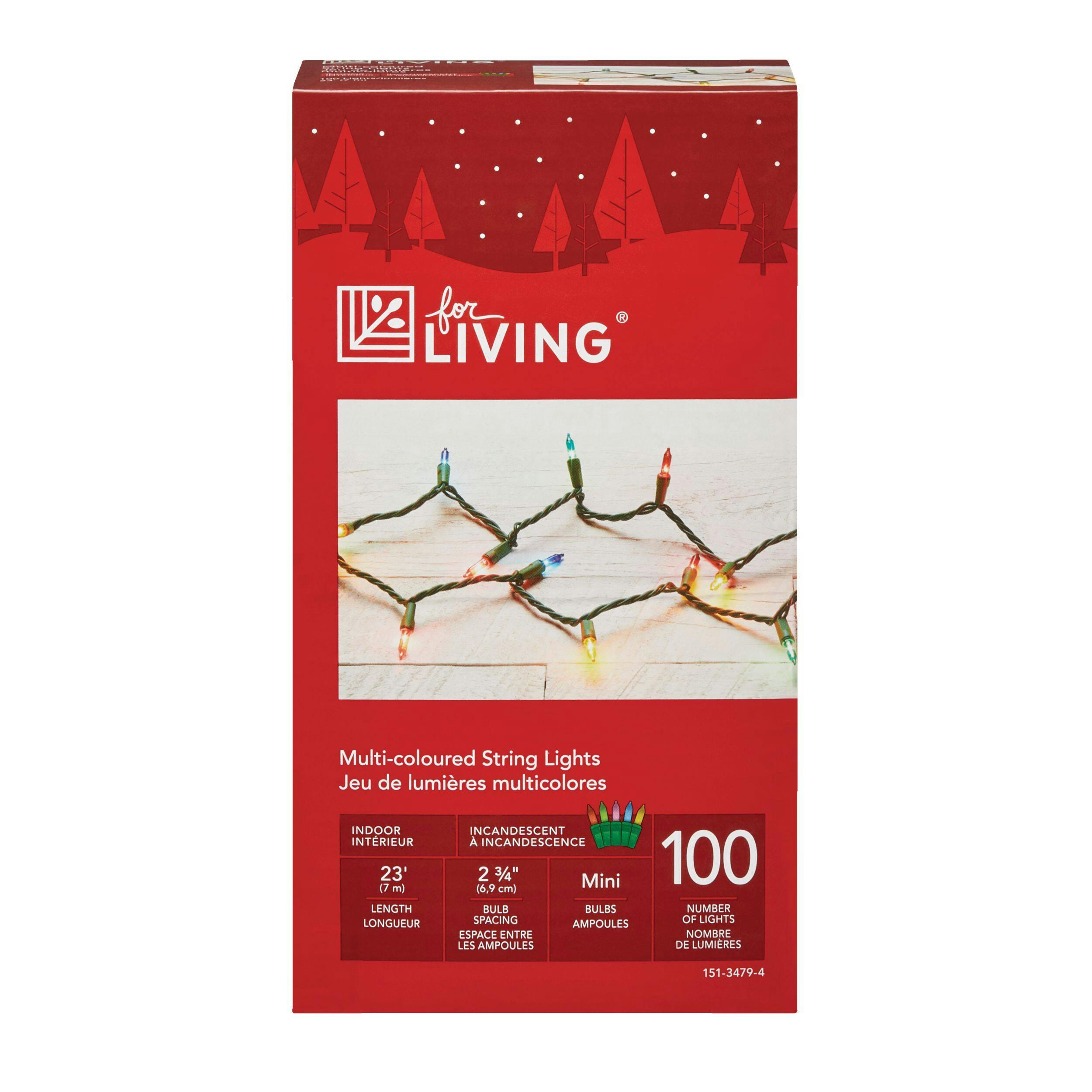 For Living Indoor 100 Mini Incandescent Lights, Multi