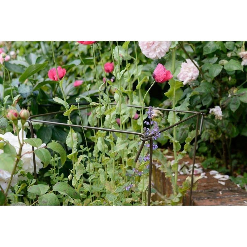- Support à plantes en acier (lot de 6) 60 cm