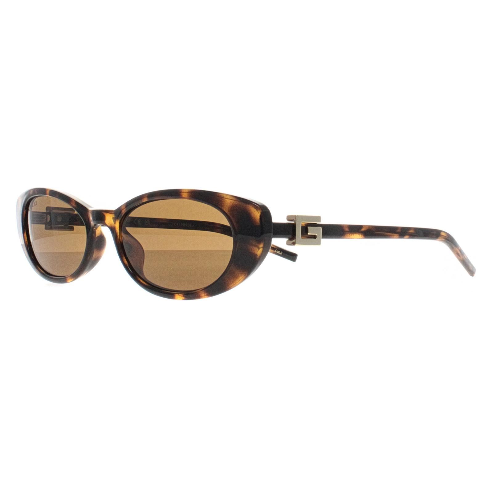 Gucci Cat Eye Havana Brown GG1680S