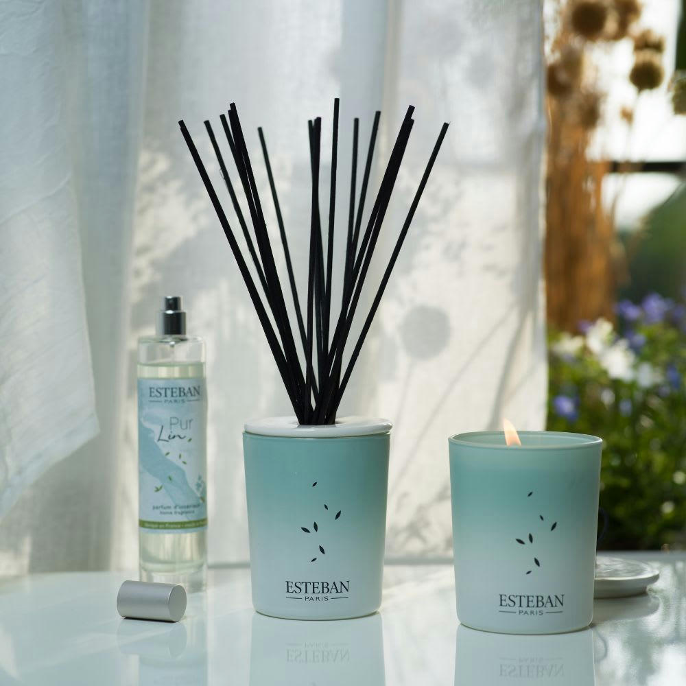 CÈDRE - Bouquet parfumé déco 100ml