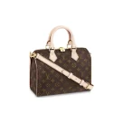 Louis Vuitton LV Speedy 25