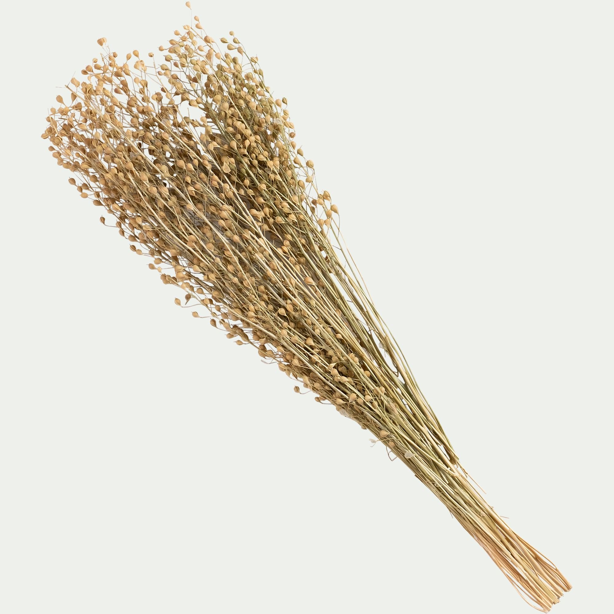 FLORALIE - Botte de Passerages séchées H55cm - jaune