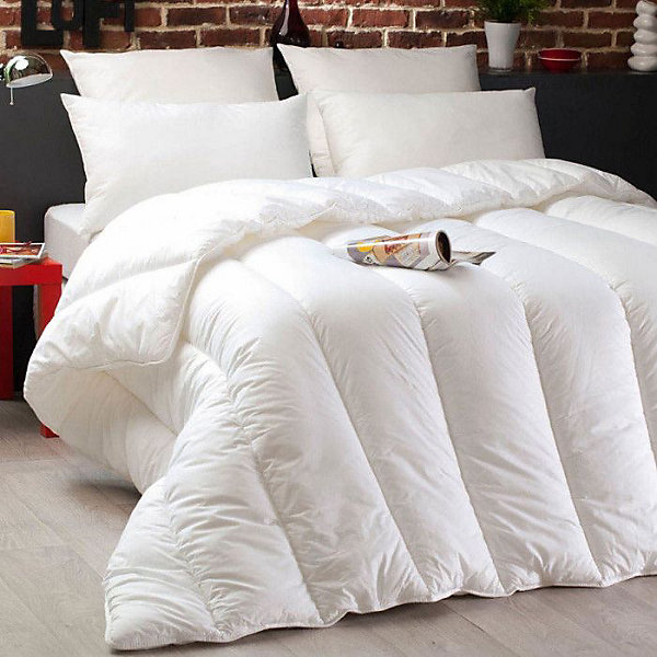 Pack Couette Dodo Microstar 220 x 240 cm pour lit 2 places   2 Oreillers Microstar 60 x 60 cm   2 Oreillers Microstar 50 x 70 cm