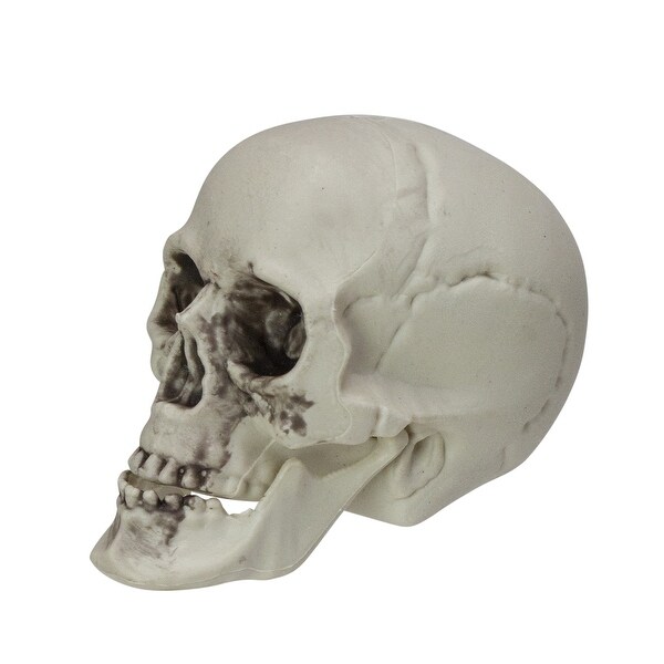 Pack of 6 Skull Head Halloween Decorations 3.5" - White