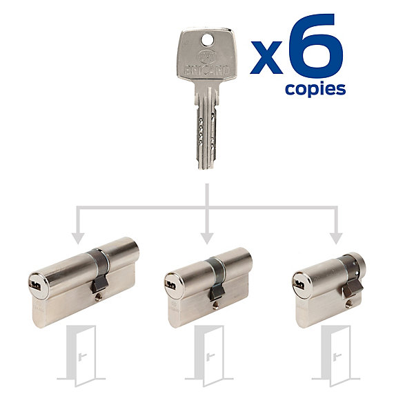 3 cylindres débrayables Bricard 30x40/30x30/30x10 mm avec 6 clés