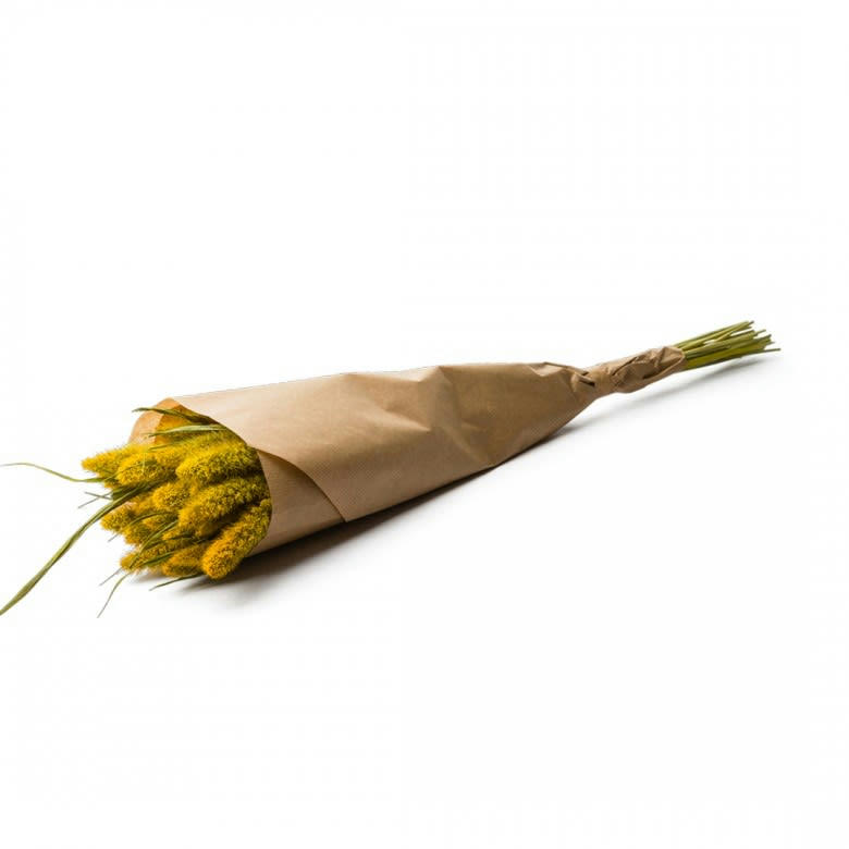 BFS - Botte Setarea Yellow