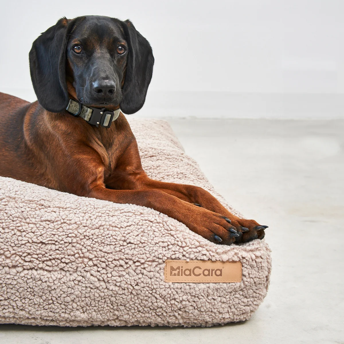 MiaCara - Senso Hundekissen