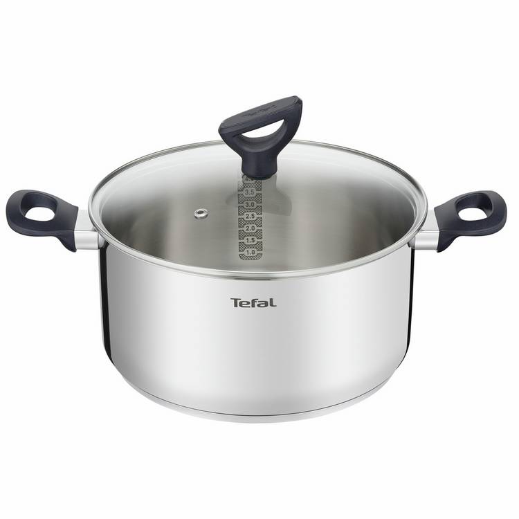 Tefal 24cm Stainless Steel Stew Pot