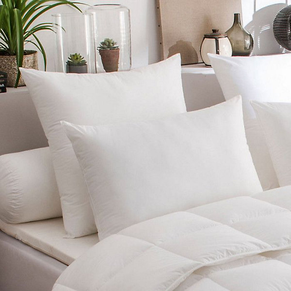 Oreillers Microstar Dodo lot de 2 50 x 70 cm blanc