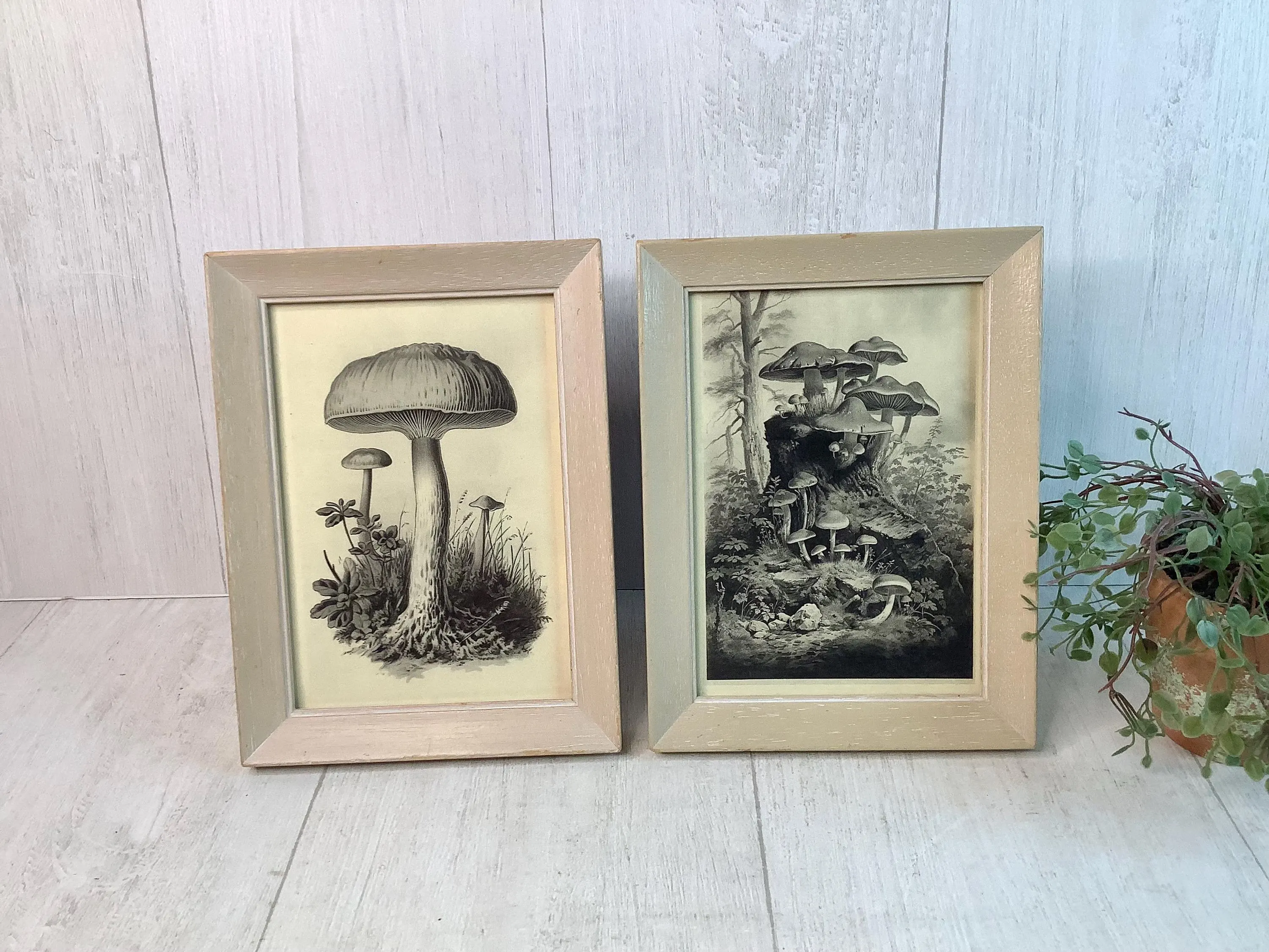 Pair of Vintage Wood Frames/ Farmhouse Style Light Beige Wooden Frames/ Cottagecore/ Boho Decor