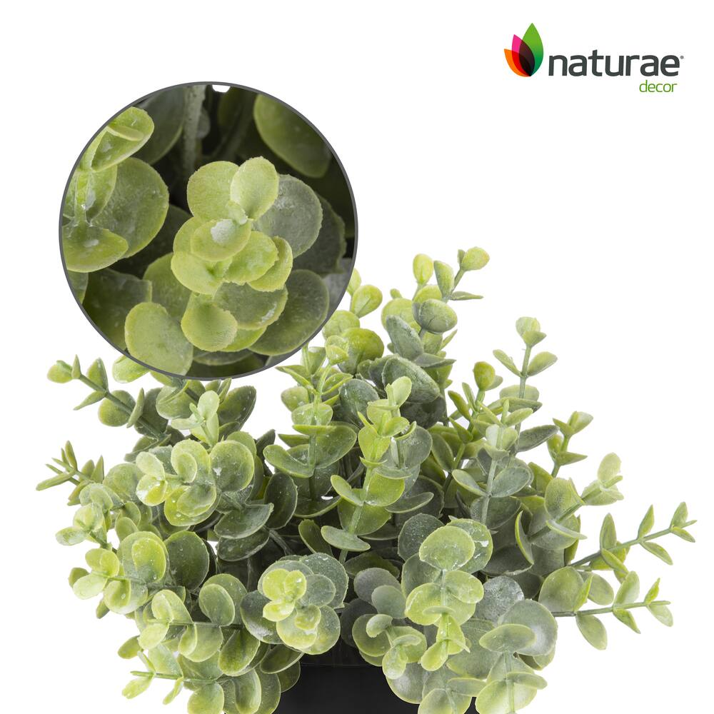 Naturae Décor Artificial Indoor Eucalyptus Plant in Black Pot, 10-in
