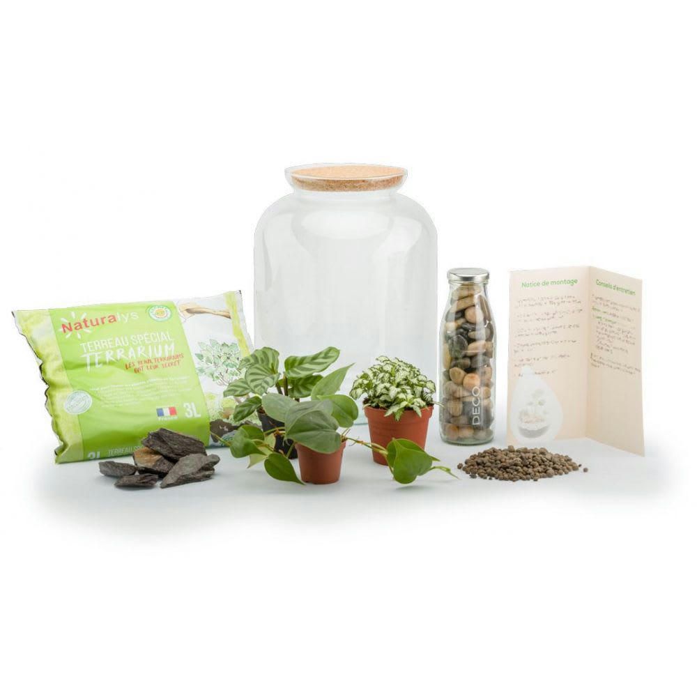 TERRA KIT - Kit terrarium plantes bonbonne mix s (24 x 31 cm)