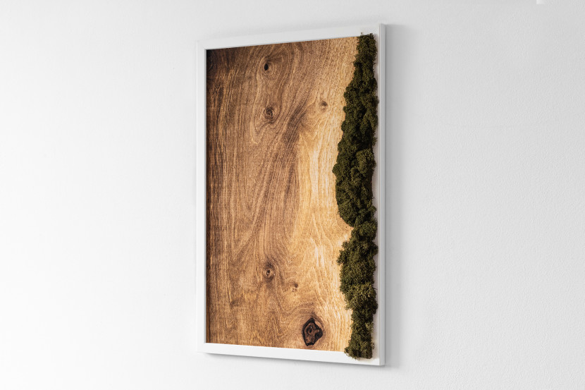 Obraz z mchem - Dębowa deska naturalna 40x60 cm Biała Rama