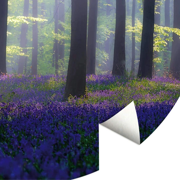Vliestapete »Runde Vliestapete«, Wald GlockenBlumen Lichtung, mehrfarbig, matt