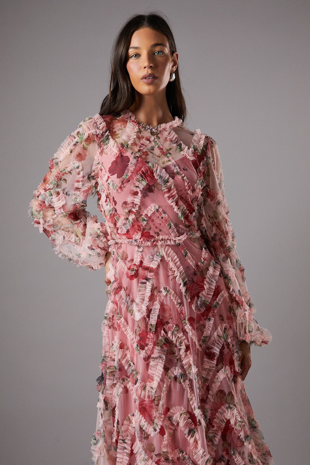 Coast Long Sleeve Applique Floral Midi Dress