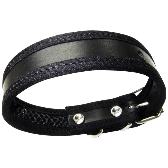 Hundehalsband, Größe: 30 cm, Rindsleder, schwarz