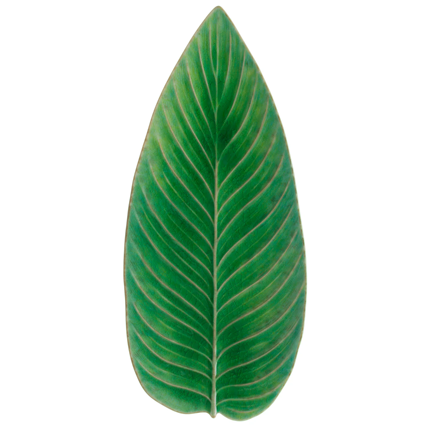 Strelizia Leaf Riviera