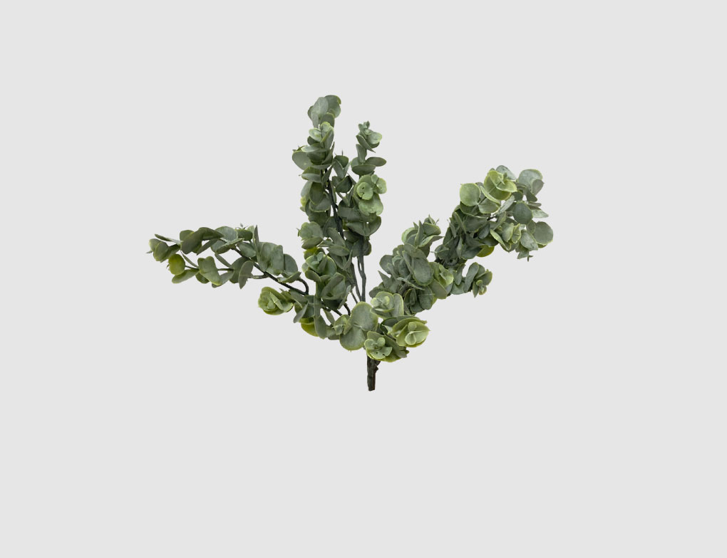 Eukalyptus Pick Grün