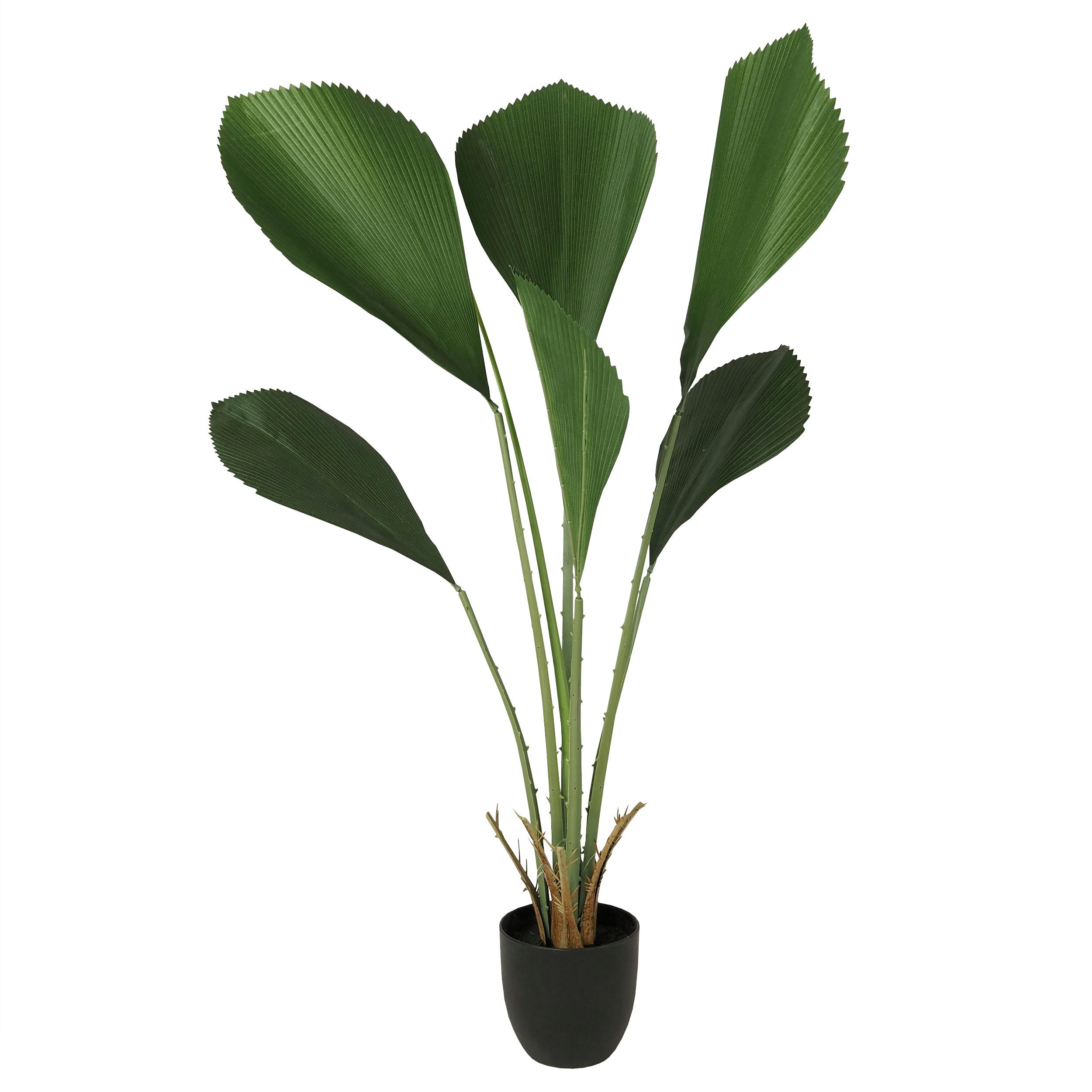 - Palmier artificiel cuillère licuala 110cm