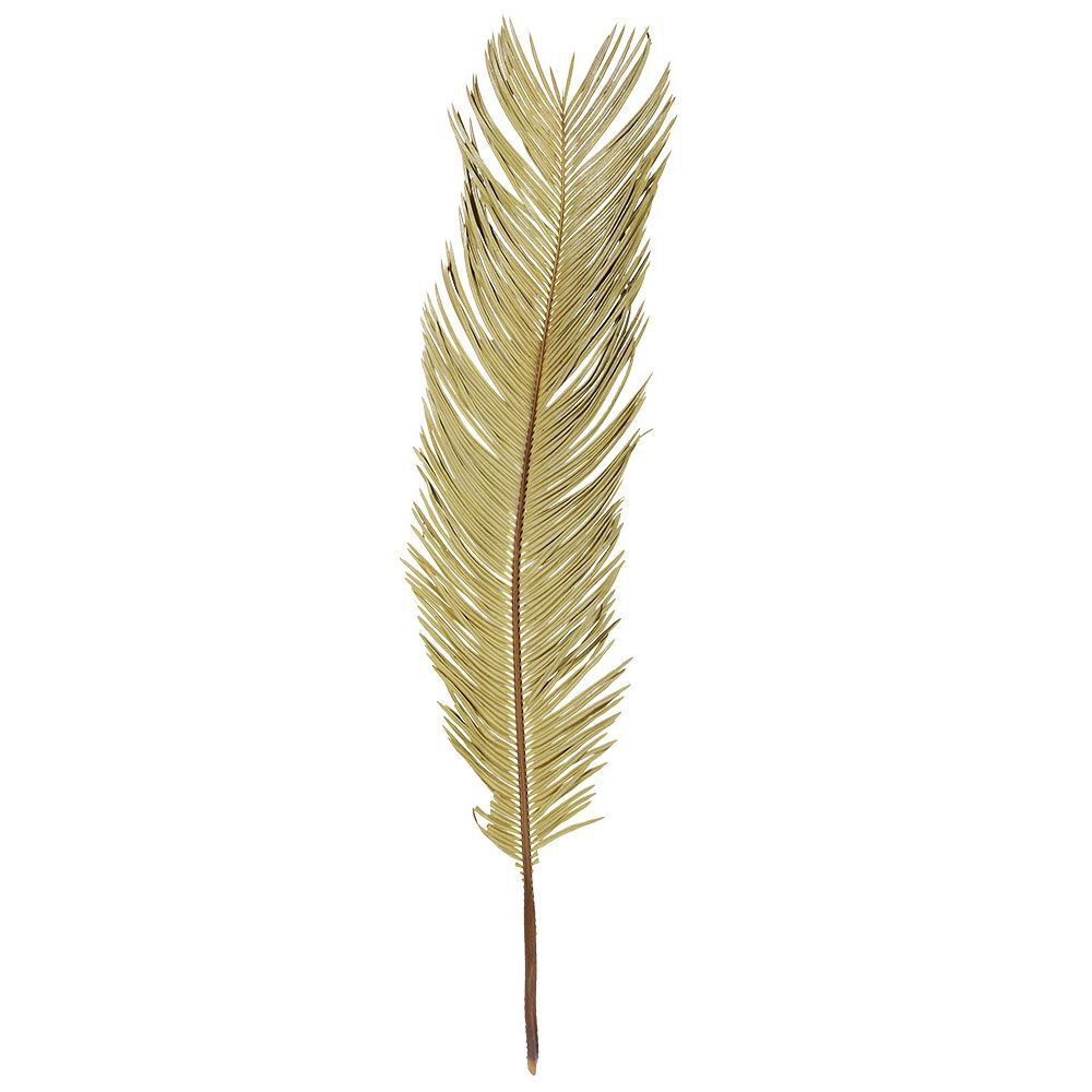 Feuille séchée