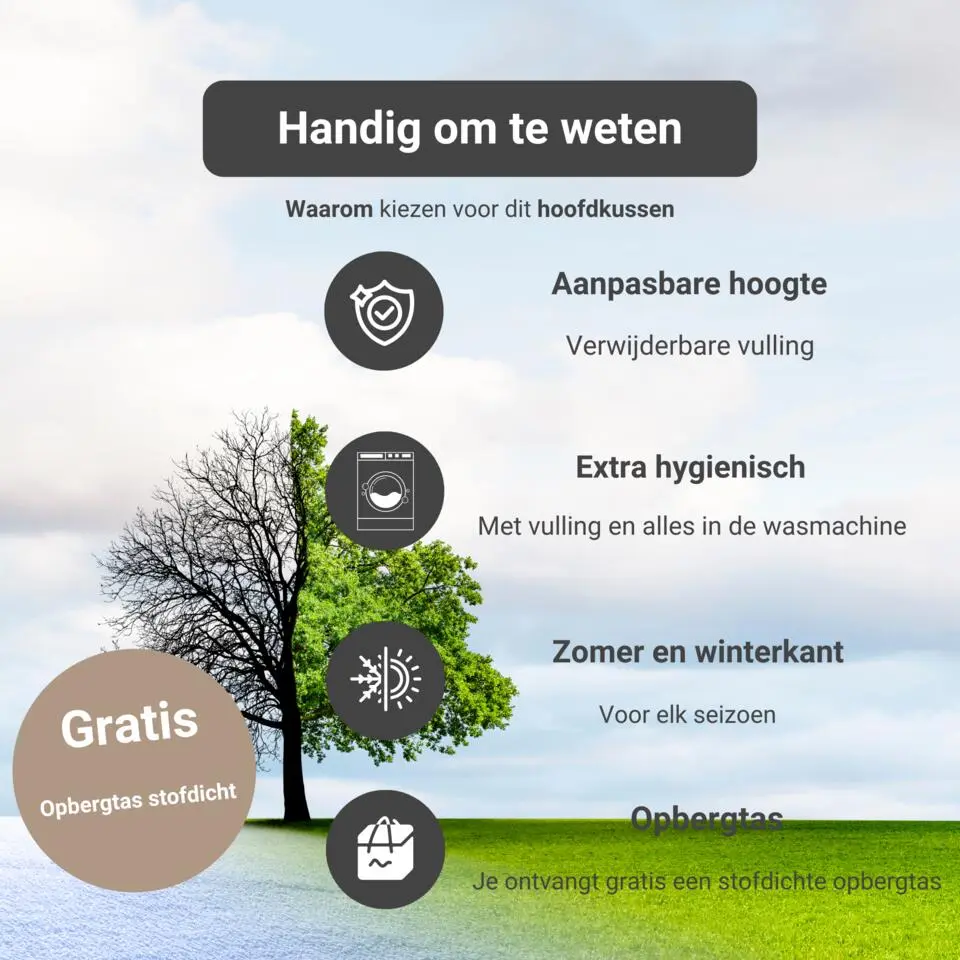 Troonz Verkoelend Hoofdkussen One - 80x80 cm