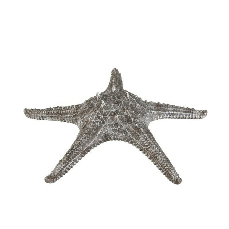 ÉTOILE - Etoile de mer résine gris/argent H10cm