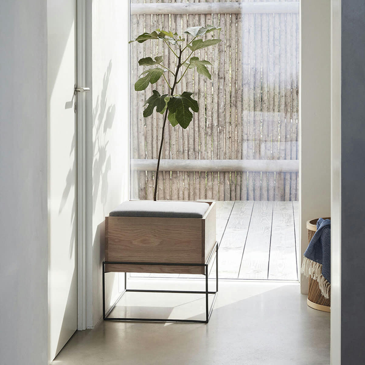 COLLECT - Banc avec coussin et rangement en chêne FSC et gris