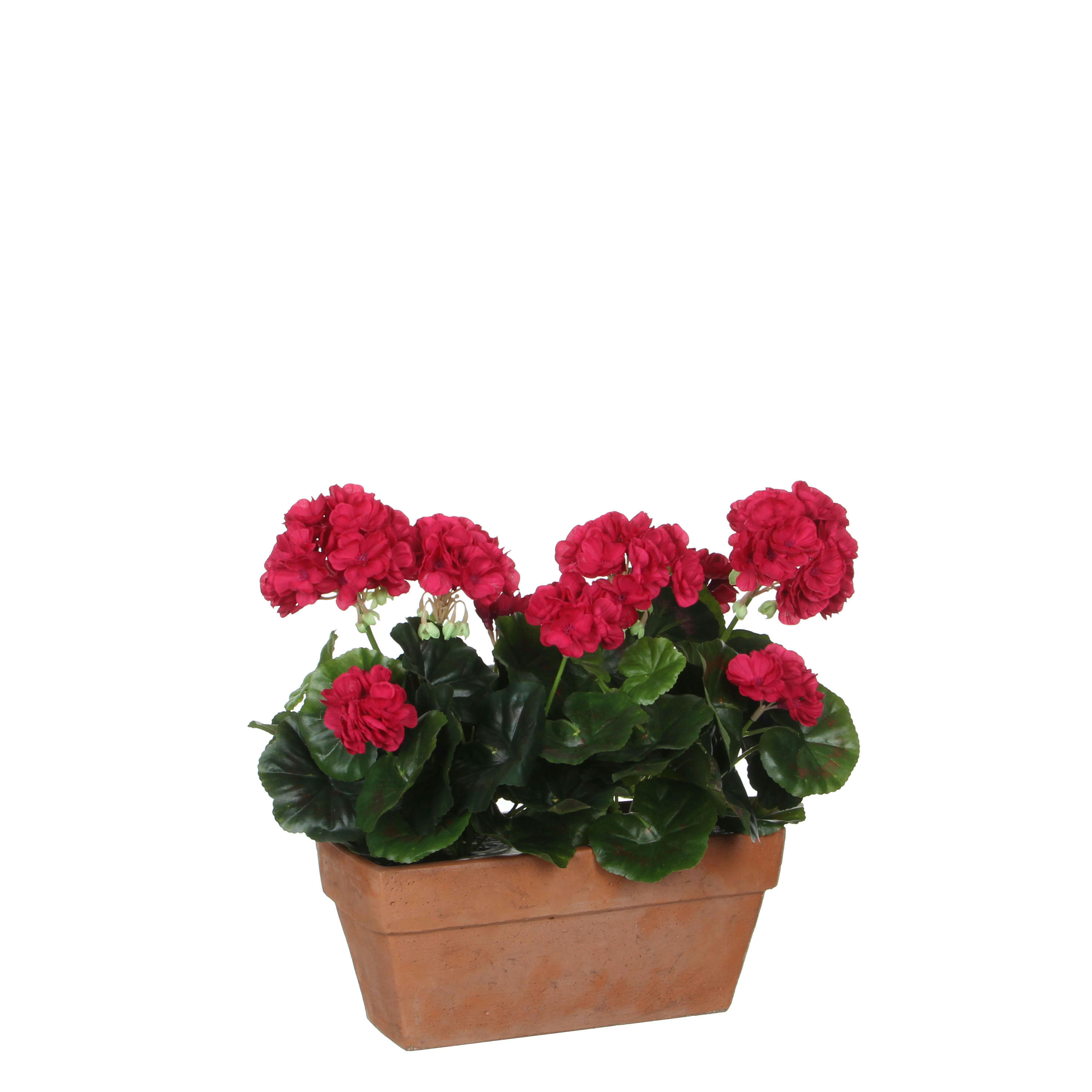 - Géranium artificielle rose foncé en pot H40