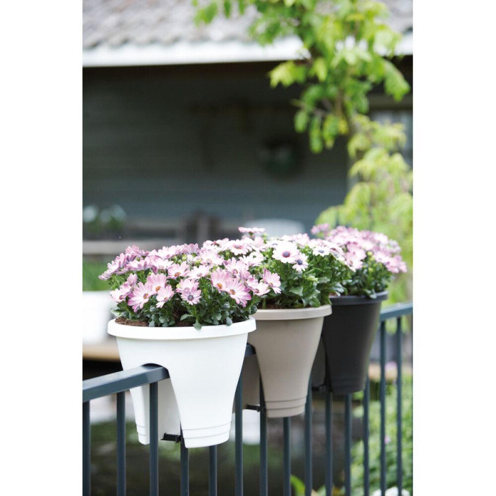 BALKONGKASSE CORSICA FLOWER BRIDGE 30CM MINT