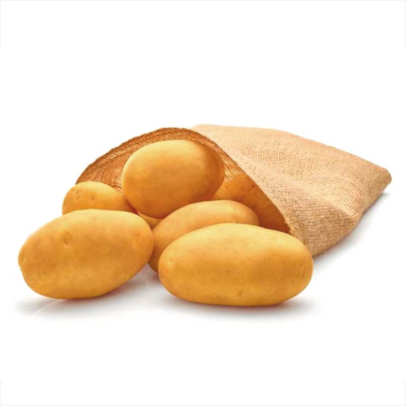 Octa, sättpotatis