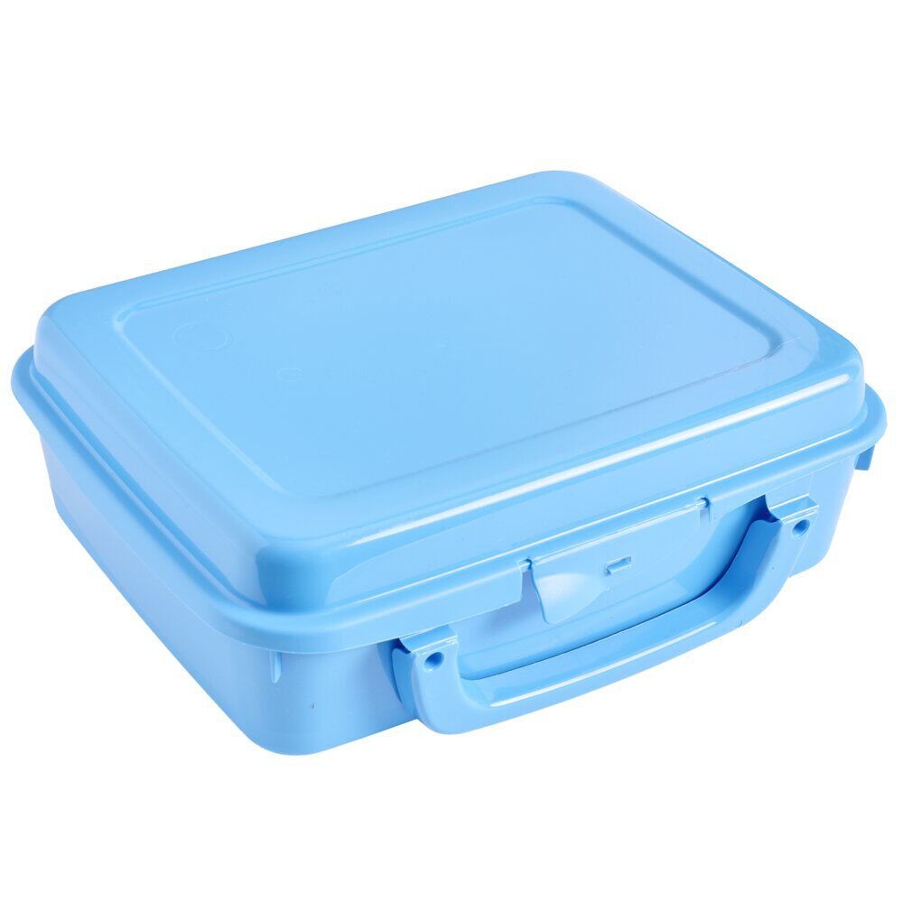 BoÎte à sandwich rectangulaire plastique coloré 20x16xH7cm (3 modèles)