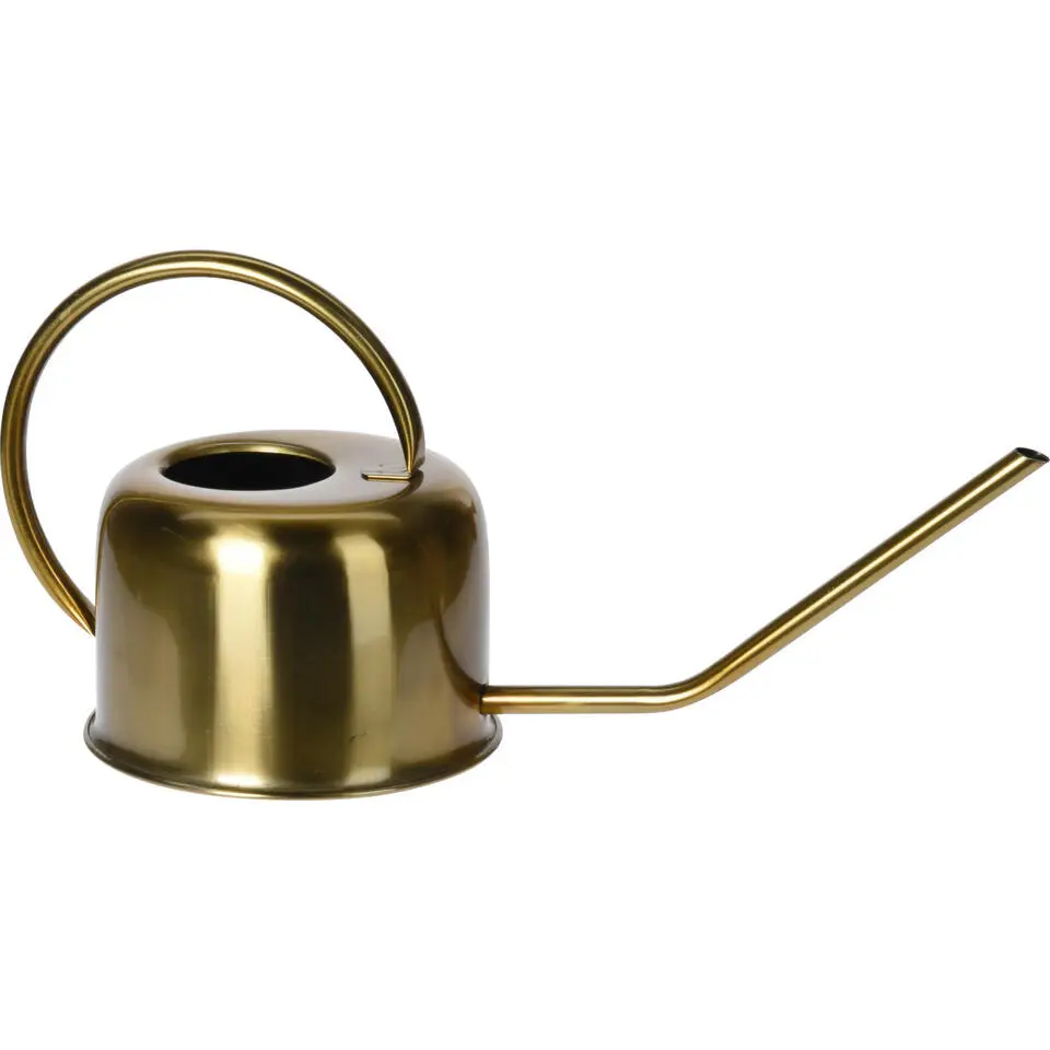 H&S collection Retro gieter voor binnen - rvs - goud - 1000 ml