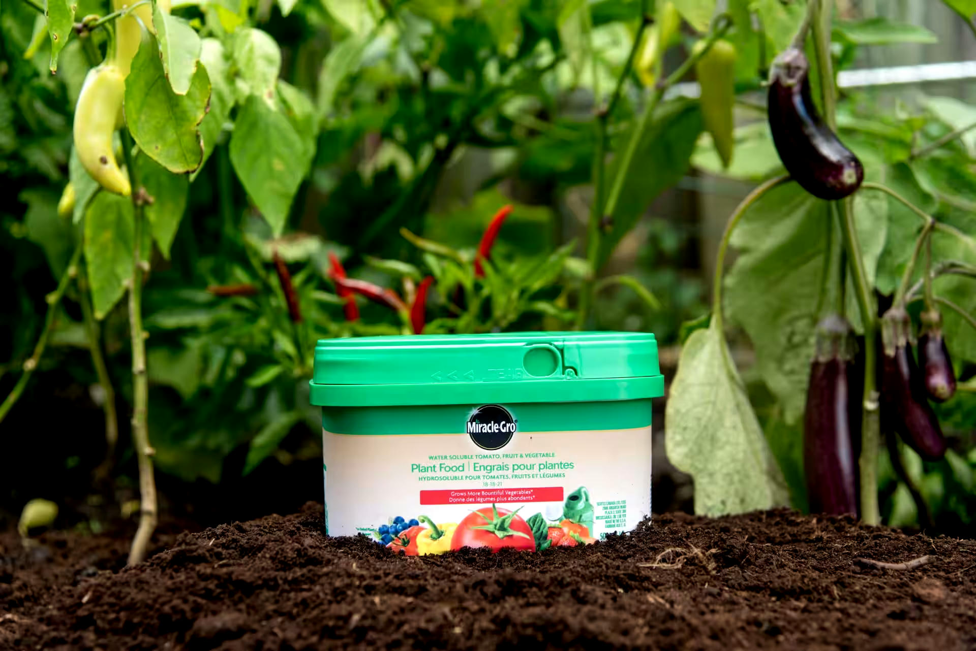 Miracle-Gro® Water Soluble Tomato, Fruit & Vegetable Plant Food, 18-18-21, 500-g
