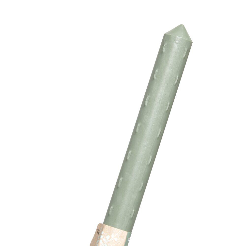 Tuteur en plastique et métal vert H150cm