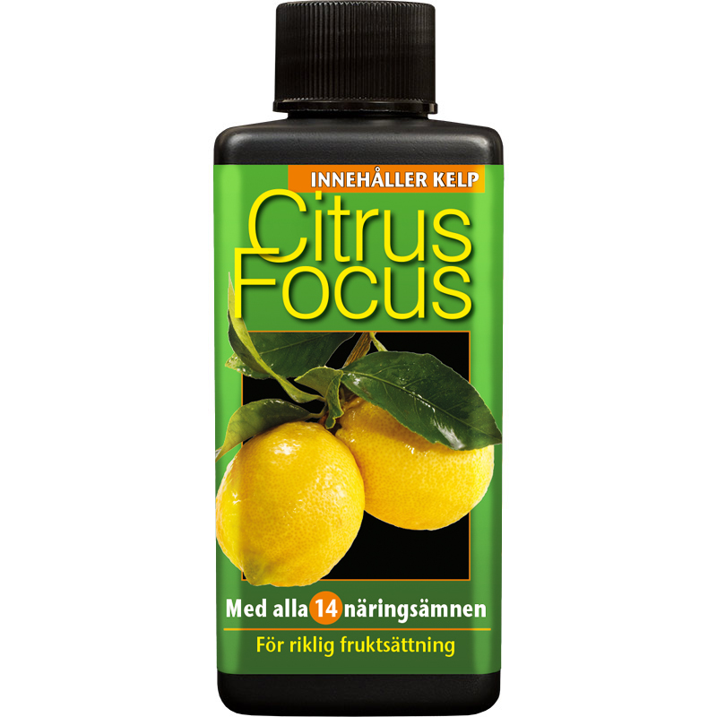 Citrusnäring Citrus Focus, 100 ml