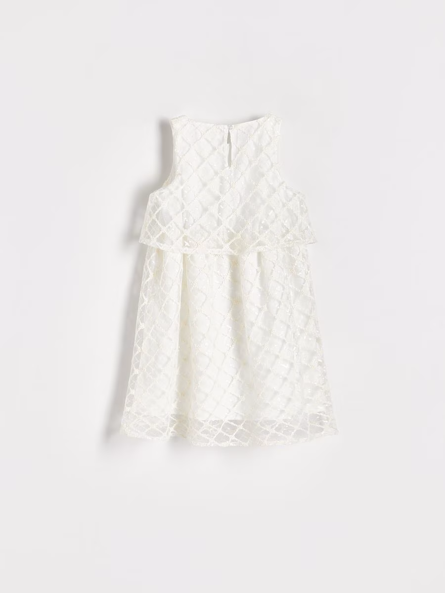 Shiny Sequin Dress