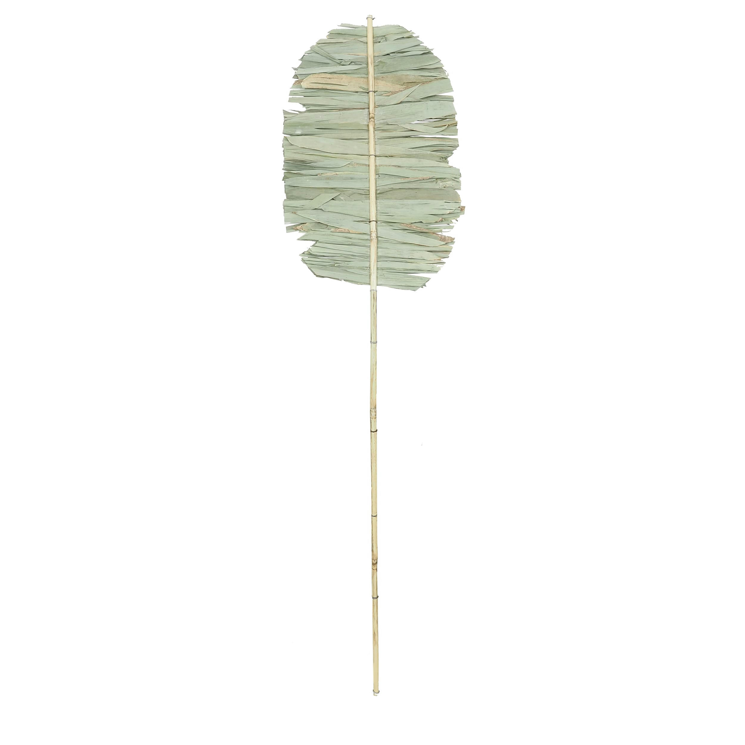 - Feuille de palmier séchée indien 100cm
